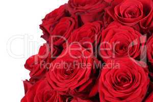 Strauß rote Rosen zum Valentinstag oder Muttertag