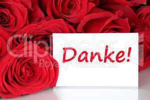 Karte mit danke und rote Rosen Blumen