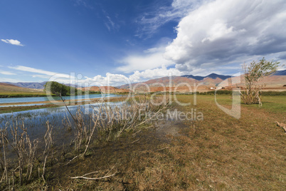 Bank of the river in Altai Mountains