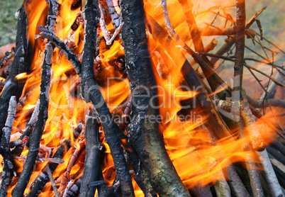 Burning wood in fire