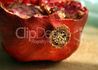 close-up of cut pomegranate fruit