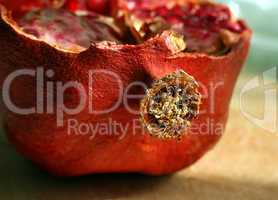 close-up of cut pomegranate fruit