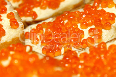 red caviar sandwich