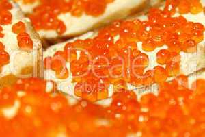 red caviar sandwich