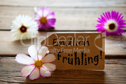 Label With German Text Endlich Frühling With Cosmea Blossoms