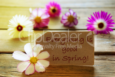 Sunny Label Life Quote Everything Is Good In Spring With Cosmea Blossoms