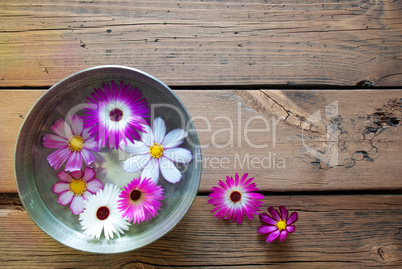 Silver Bowl With Cosmea Blossoms And Copy Space