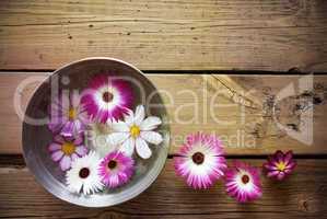 Silver Bowl With Cosmea Blossoms And Copy Space