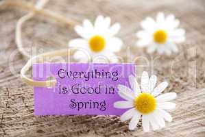 Banner with Everything is Good in Spring