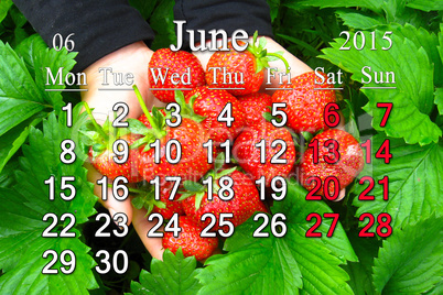 calendar for the June of 2015 year with strawberry