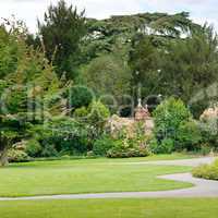 summer park with beautiful green lawns