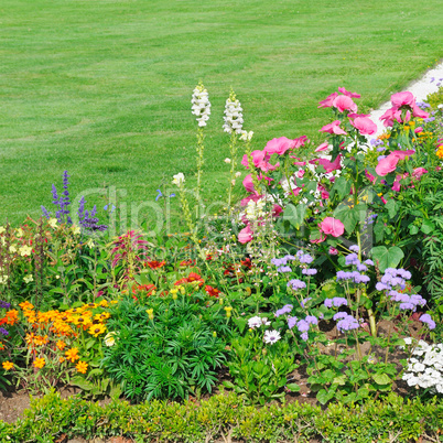 beautiful flower bed and green grass