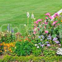 beautiful flower bed and green grass