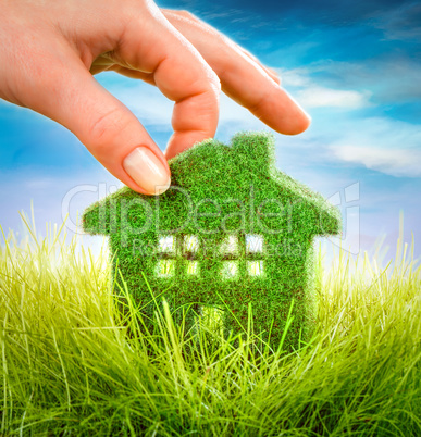 House on the green grass House on the green grass