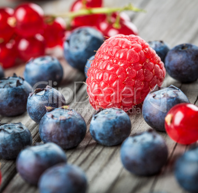 Blueberries background