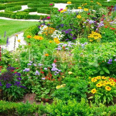 Blossoming flowerbeds in the park