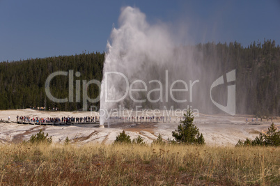 Yellowstone Nationalpark, Utah, USA