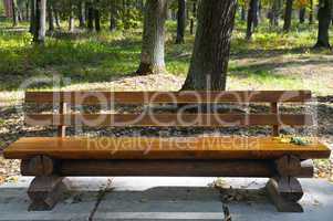 Wooden bench in the autumn park