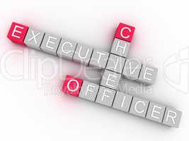3d imagen CEO  issues concept word cloud background