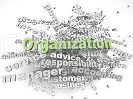 3d imagen Organization  issues concept word cloud background