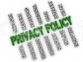 3d image Privacy policy issues concept word cloud background