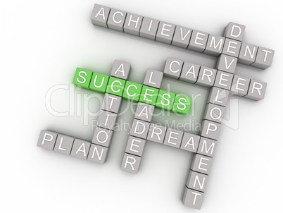 3d image success  issues concept word cloud background