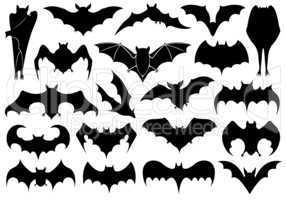 Set of different bats