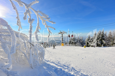 Winterlandschaft Natur Wald Schnee