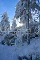 verschneite Landschaft am Ochsenkopf