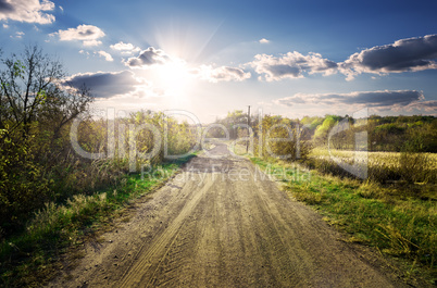 Road through garden