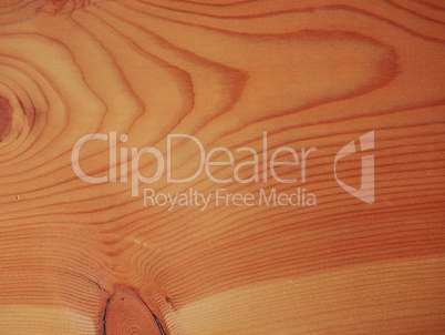 Larch wood background