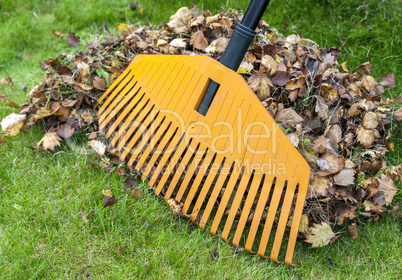 Pile of leaves with rake