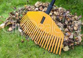 Pile of leaves with rake