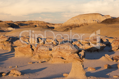 Bisti Badlands Wilderness Area, New Mexico, USA