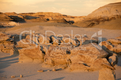 Bisti Badlands Wilderness Area, New Mexico, USA