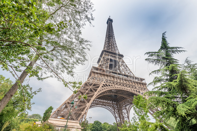 View of Eiffel Tower from surrounding gardens - Paris