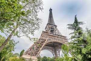 View of Eiffel Tower from surrounding gardens - Paris