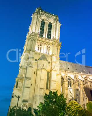 Notre Dame at night, side view, Paris