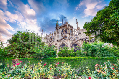 Beautiful Notre Dame Cathedral view with garden and flowers - Pa