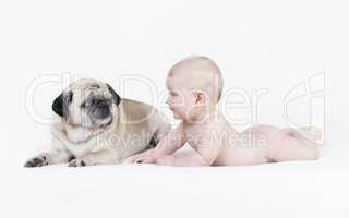 nacktes baby liegt neben Hund