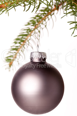 Christmas ball hanging from a branch of a fir tree