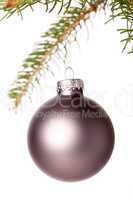 Christmas ball hanging from a branch of a fir tree