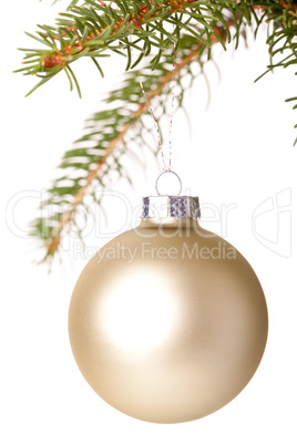 Christmas ball hanging from a branch of a fir tree