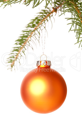 Christmas ball hanging from a branch of a fir tree