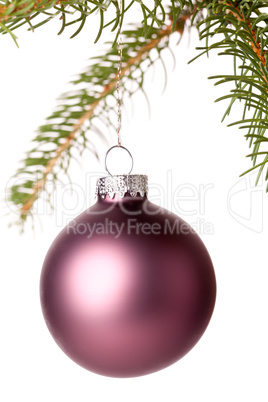 Christmas ball hanging from a branch of a fir tree