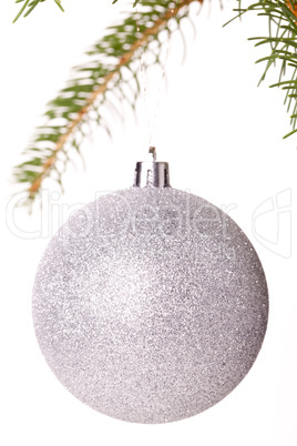 Christmas ball hanging from a branch of a fir tree