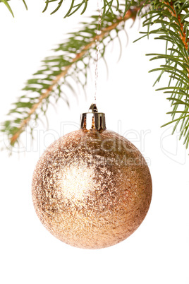 Christmas ball hanging from a branch of a fir tree