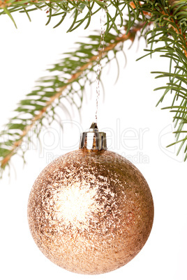 Christmas ball hanging from a branch of a fir tree