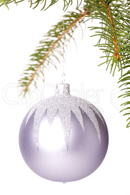 Christmas ball hanging from a branch of a fir tree