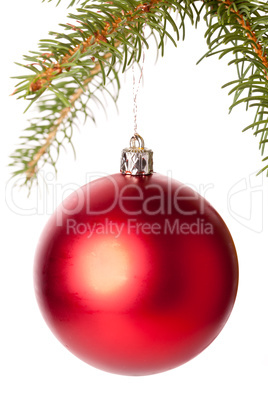 Christmas ball hanging from a branch of a fir tree